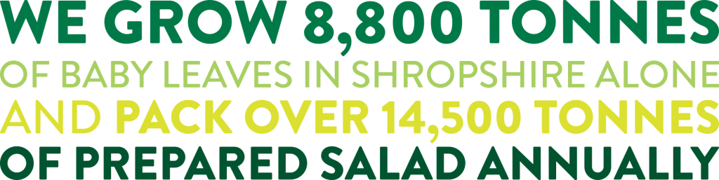We grow 8,000 tonnes of baby leaves in Shropshire alone and pack over 14,500 tonnes of prepared salad annually