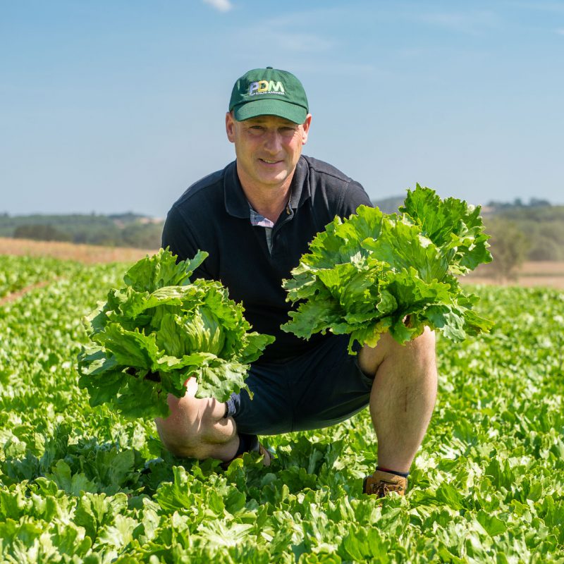 We Are A Leading UK Salad Grower | PDM Produce